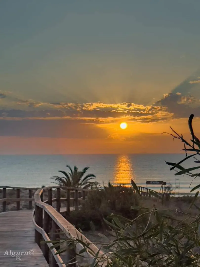 Chalet en  Lugar Alzabaras Alto Poligono 1 1041 - Foto 13