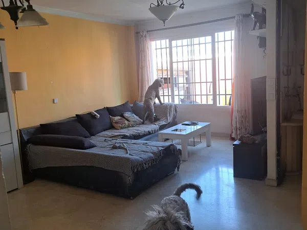 Casa o chalet independiente en Avenida del Caribe, 71 - Foto 7