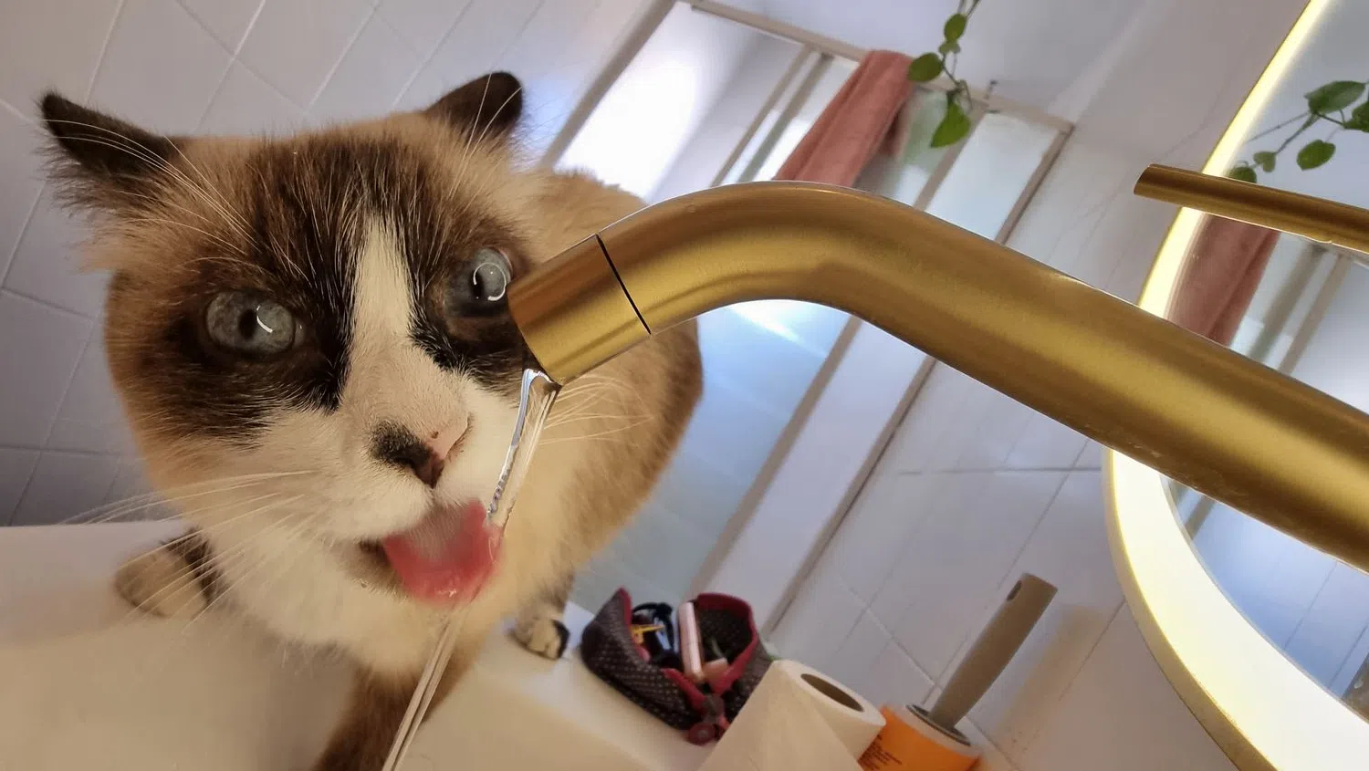 Ático en paseo de Alberto Palacios, 84 - Foto 14