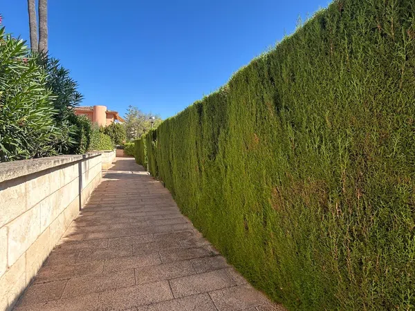 Piso en Calle Estels Xapats, 4, Maioris-Puig de Ros, Maioris-Puig de Ros - Foto 2