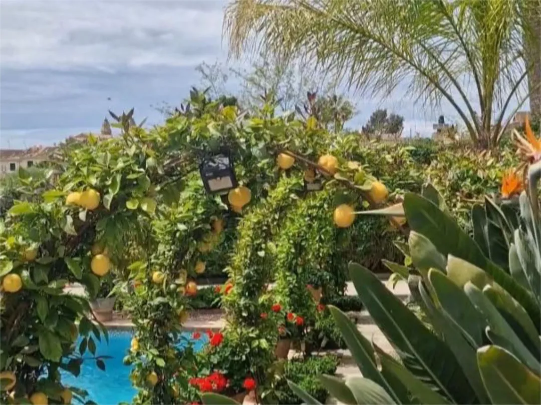 Piso en  Carrer Cortons 22 - Foto 3