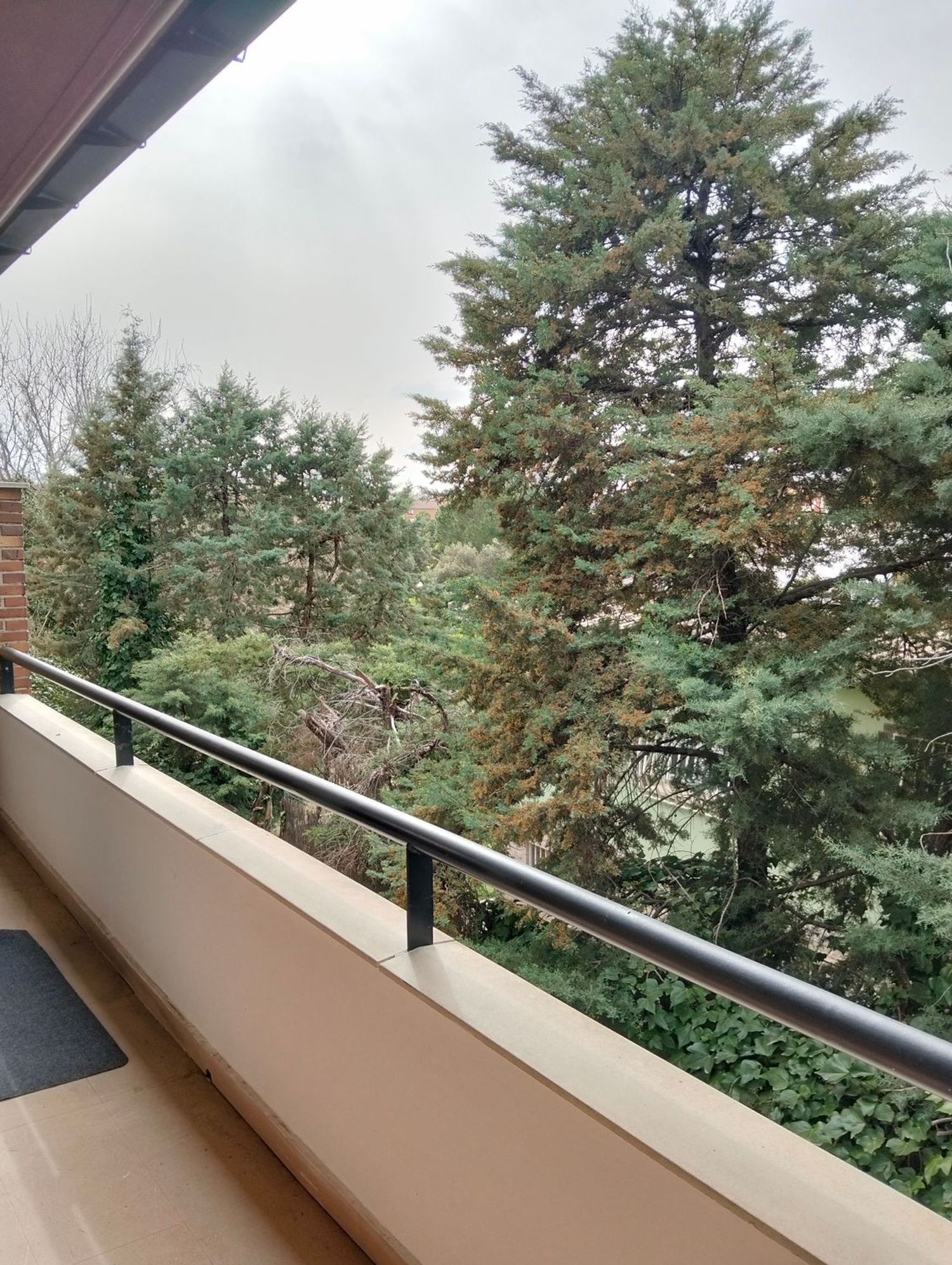 Dúplex en Urb. la raya del palancar Raya del Palancar - Guadamonte - Foto 12