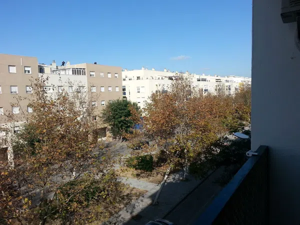Piso en Calle Clarinete, 6, El Juncal - Vallealto - Foto 11