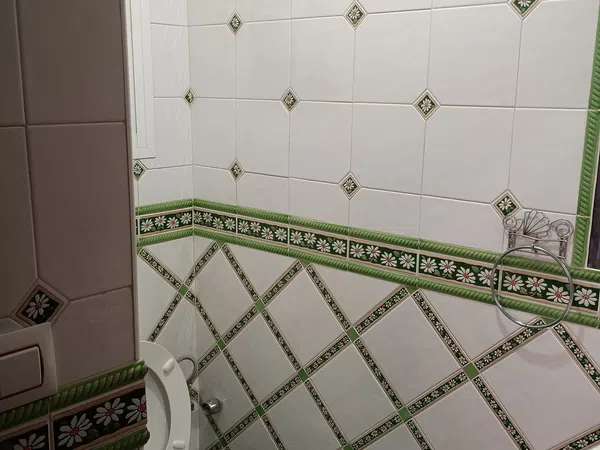 Piso en Calle Tarfia, 6, Reina Mercedes - Heliópolis - Foto 22