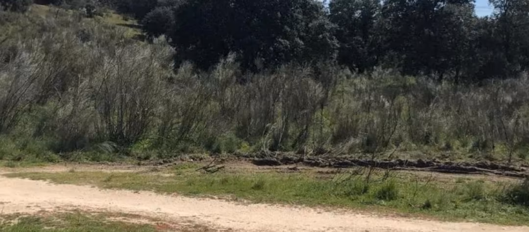 Finca rústica en  M-505 10 - Foto 4