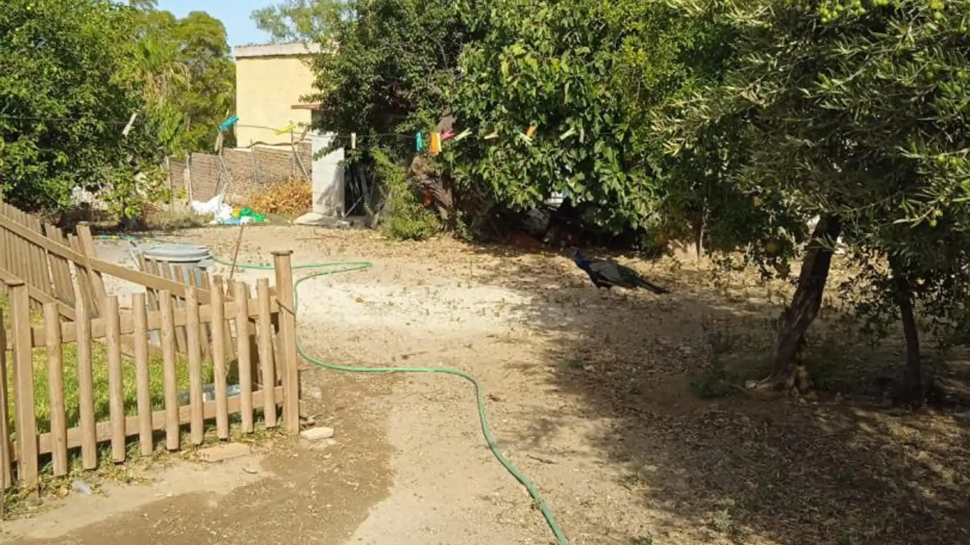 Finca rústica en  Calle Atlántida 242 - Foto 7