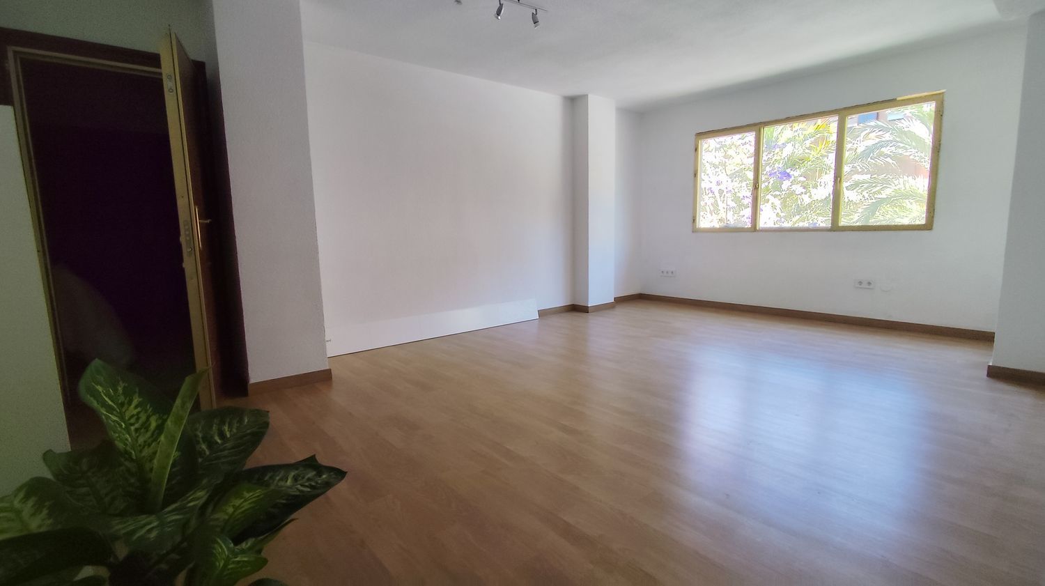 Piso en Avenida oscar espla, 26, Ensanche-Diputación - Foto 8