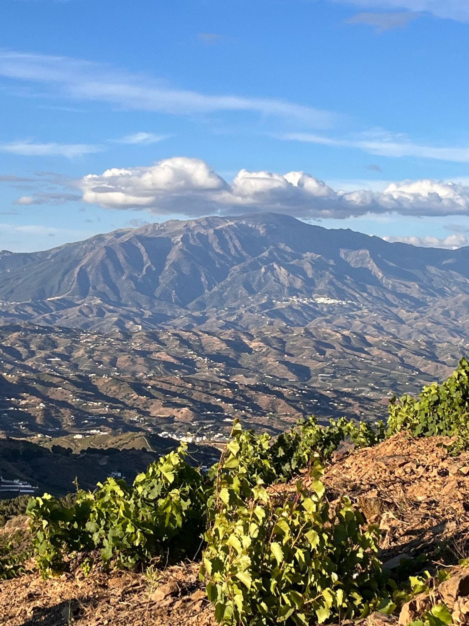 Finca rústica en Vereda de la Cuesta de Granadilla s/n - Foto 23