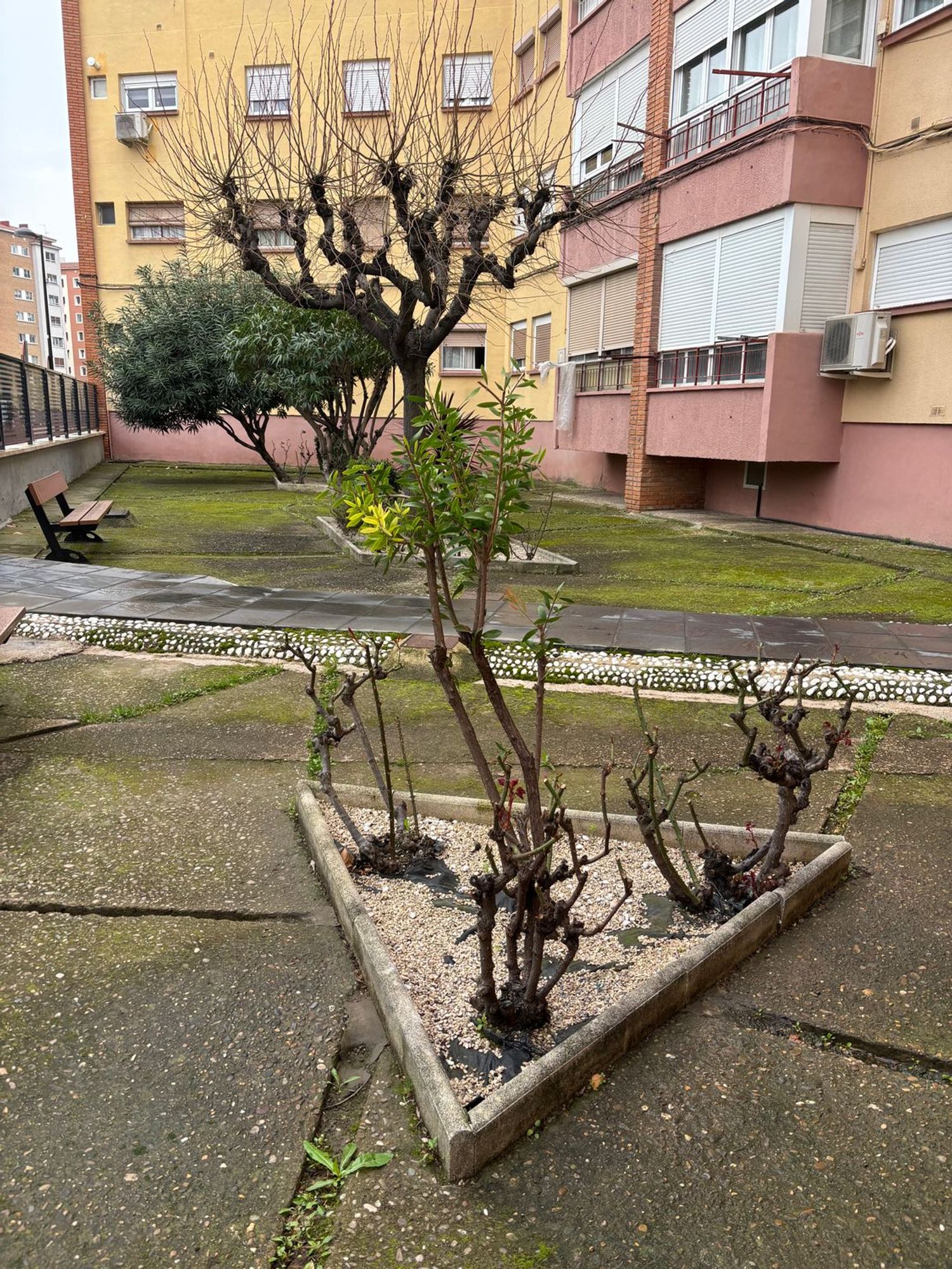 Piso en calle de las Misiones, 9 - Foto 11