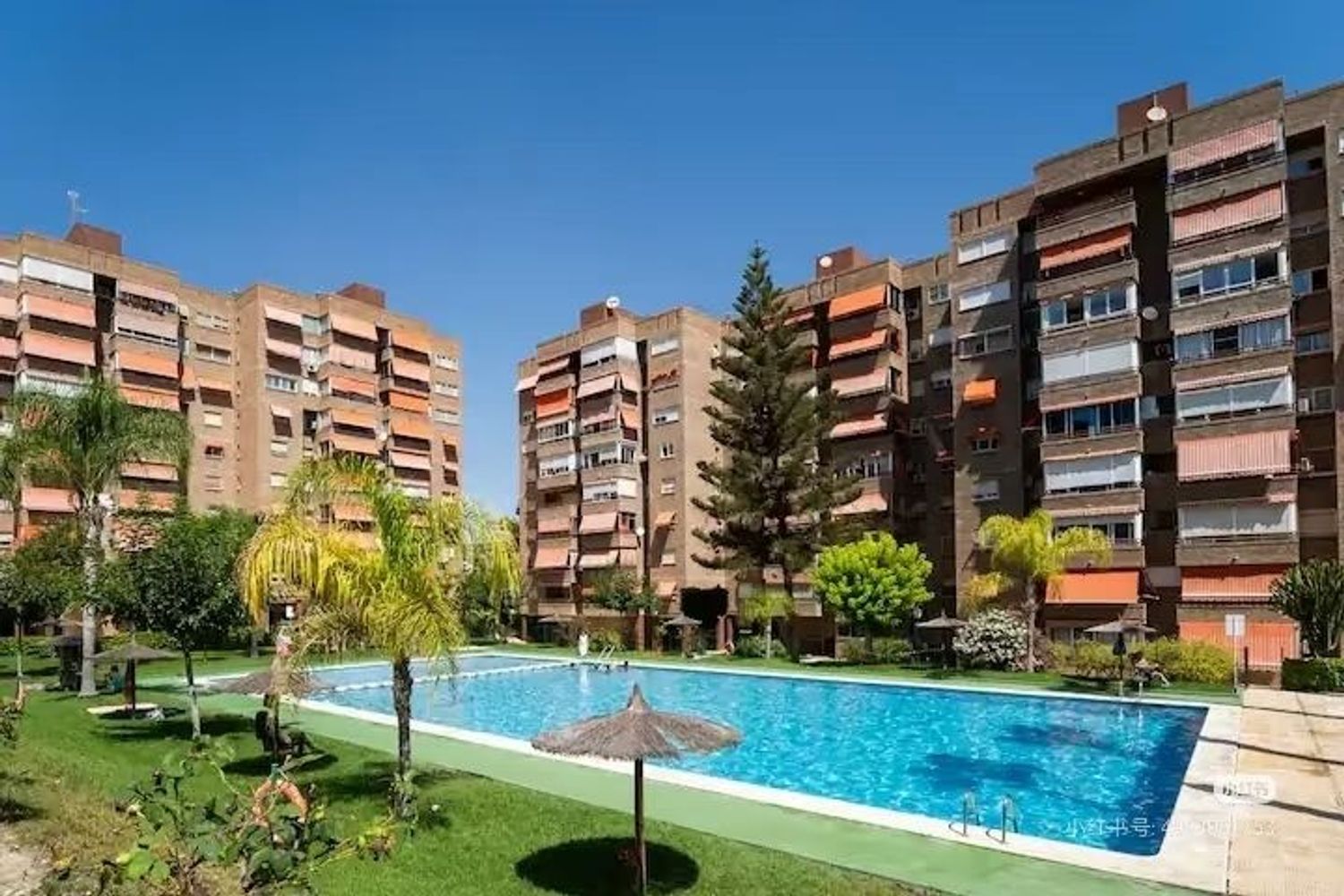 Piso en Avenida de les Nacions, 3540, Playa de San Juan - Foto 3