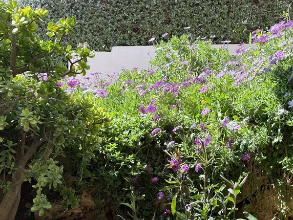 Piso en calle Benito Jerónimo Feijóo, 4 - Foto 14