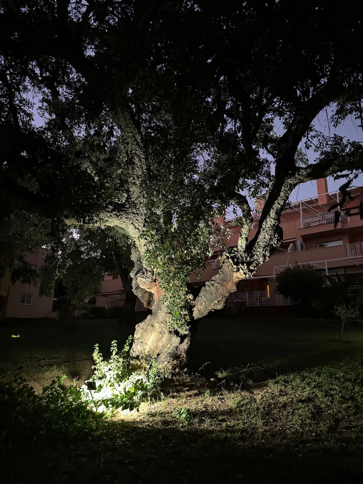 Dúplex en calle Olmo, 4 - Foto 6