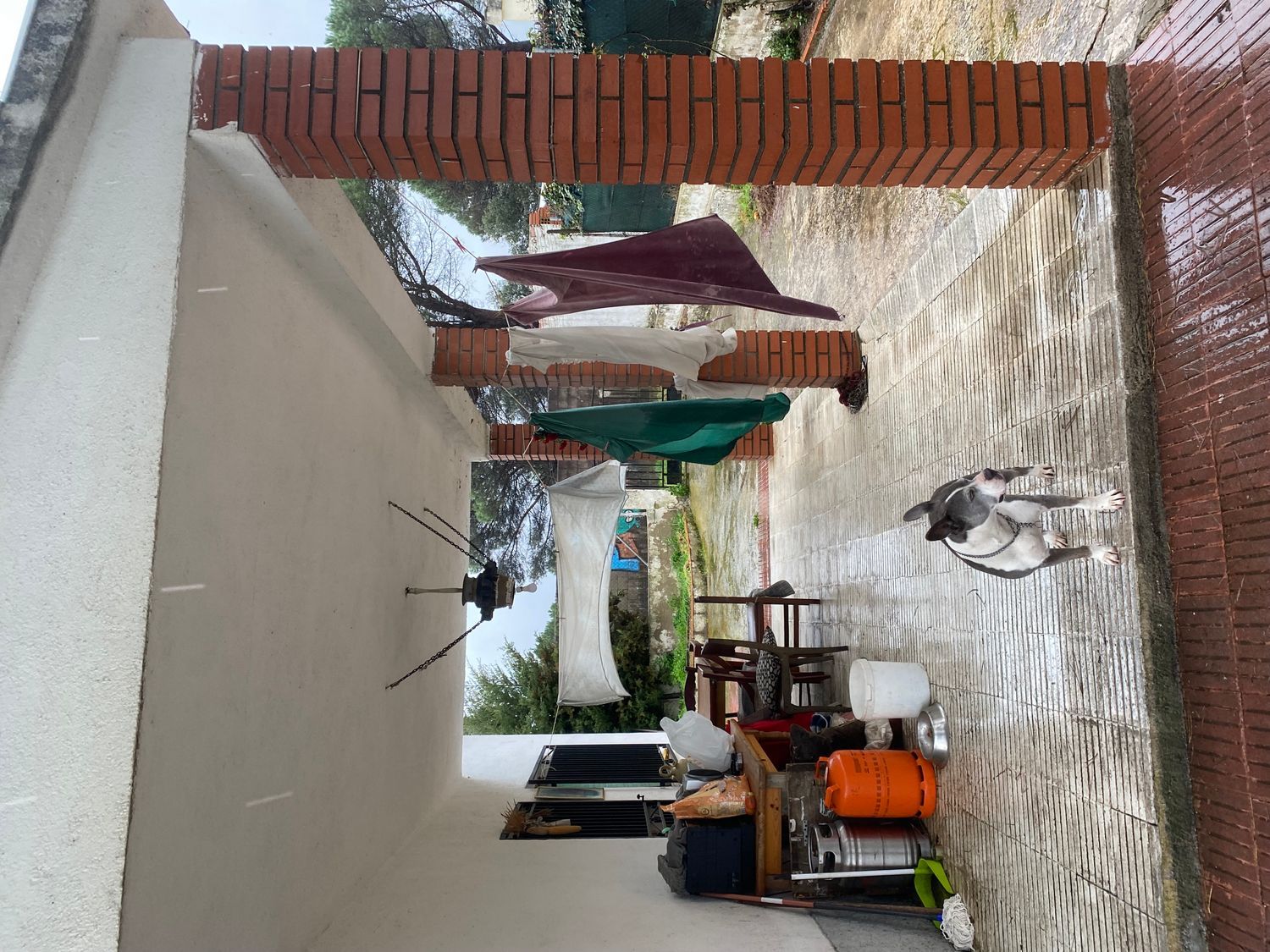 Casa independiente en calle d'Arenys de Mar, 27 - Foto 6