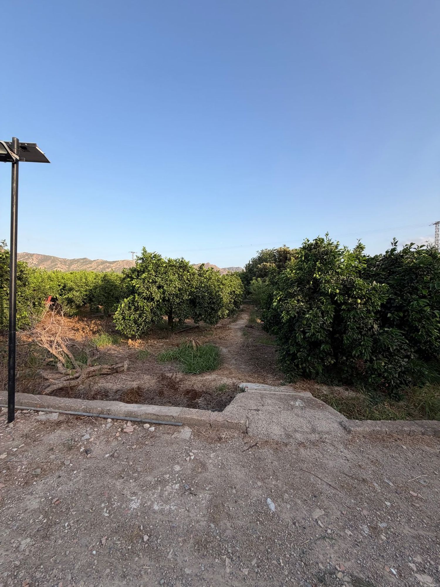 Finca rústica en Camino de los Plazas, 16, San José de la Vega - Foto 32