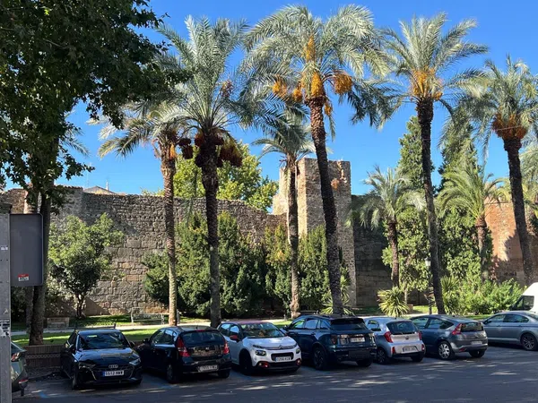 Piso en Plaza de Santa Leocadia, 5, Casco Antiguo, Casco Antiguo - Foto 38