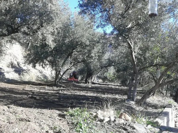 Finca rústica en Calle a, 1 - Foto 24