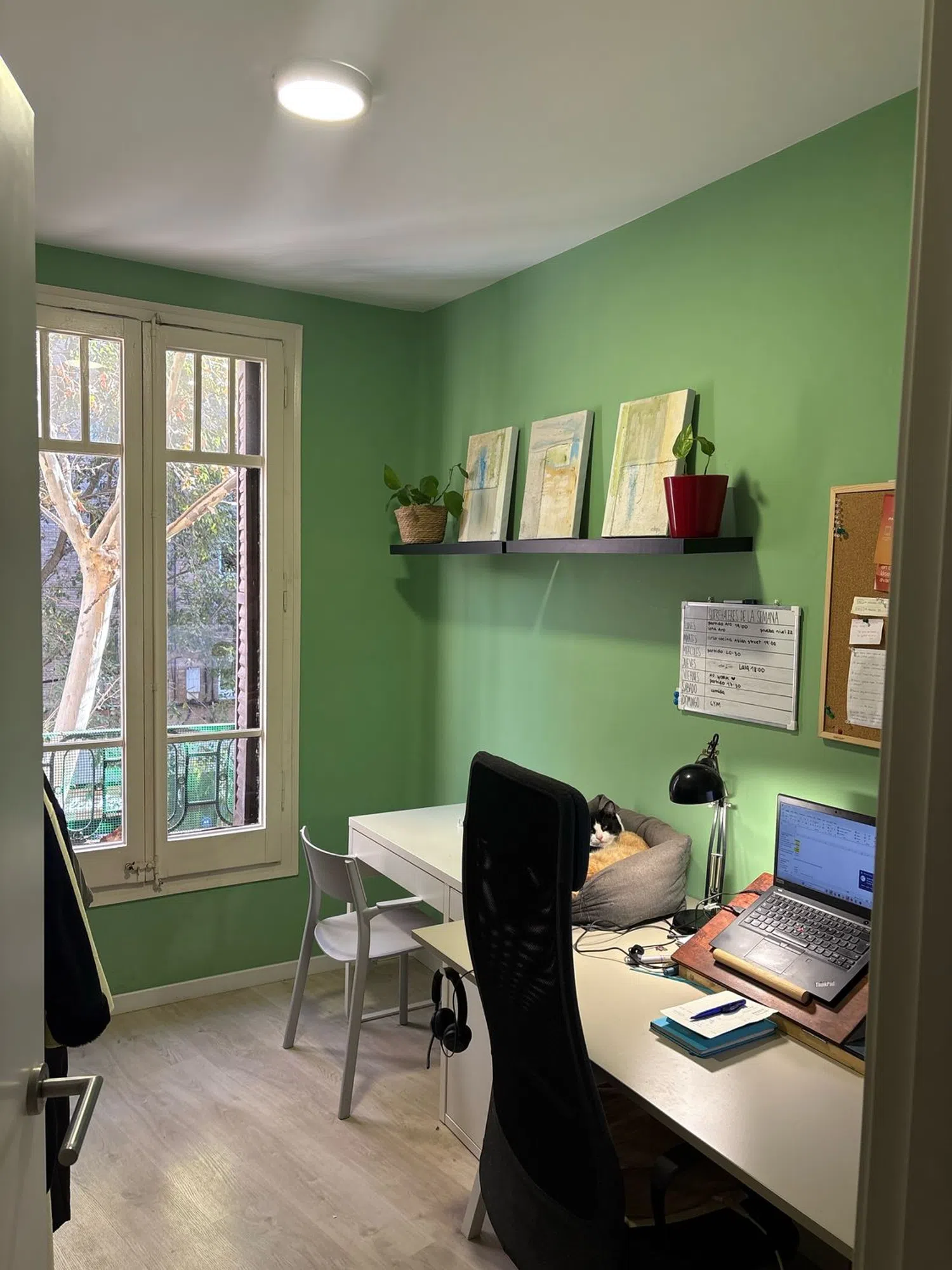 Piso en calle de Provença, 495 - Foto 2