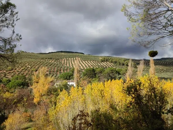 Cortijo en Carretera a Cortijos Nuevos s/n - Foto 5