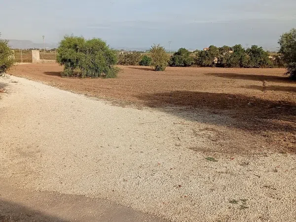 Casa independiente en Partida De La Hoya s/n - Foto 6