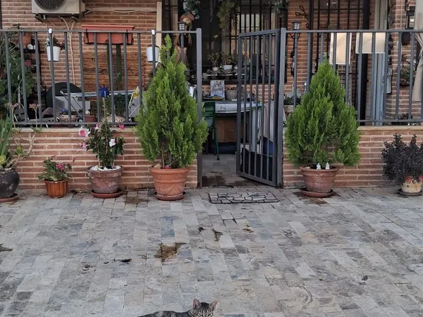 Piso en Calle de Cimballa, 3 - Foto 6
