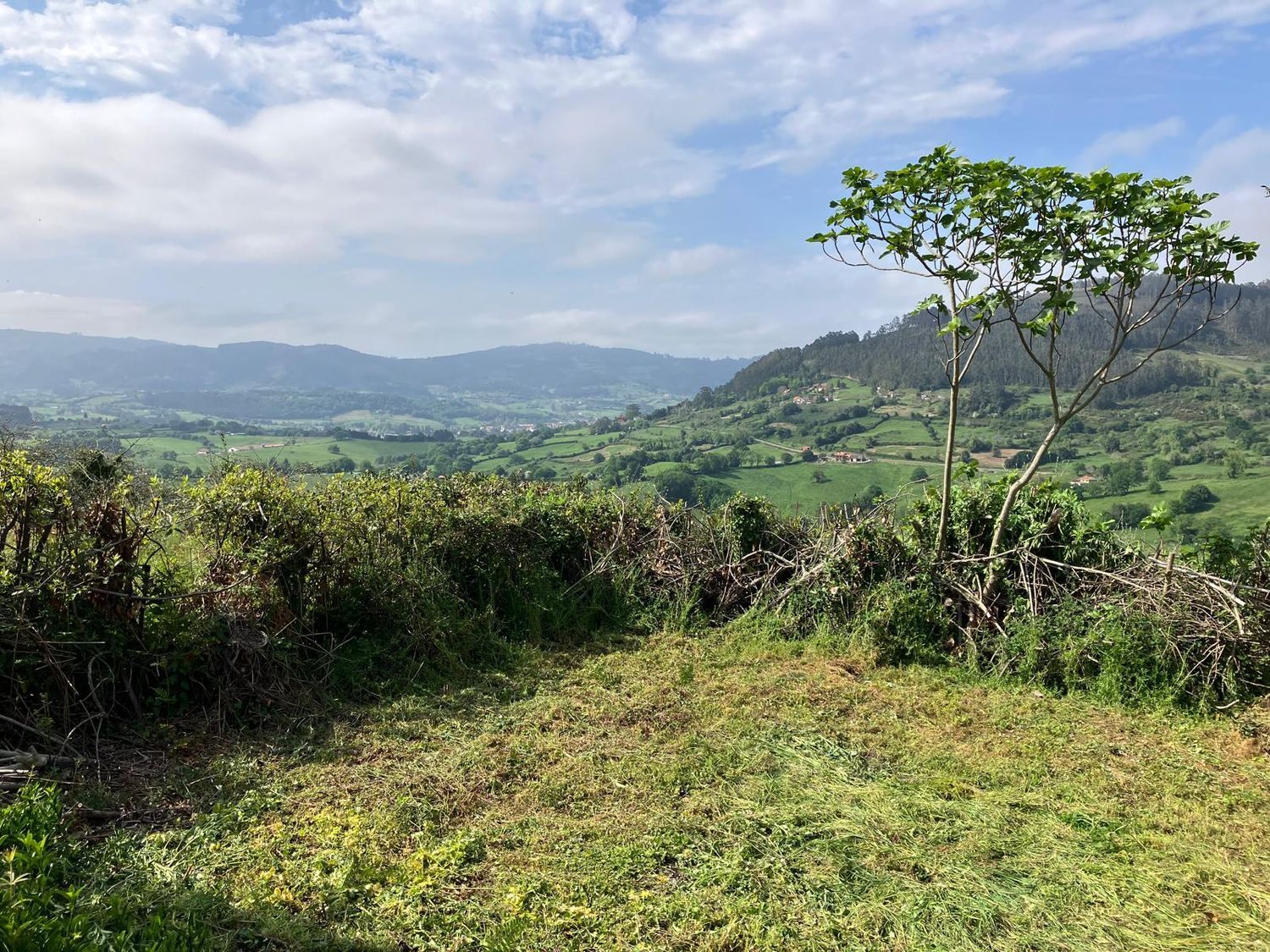 Casa de pueblo en Cayao, Coro s/n - Foto 13
