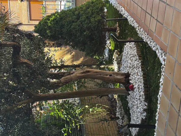 Chalet adosado en Calle Capellán, 39 - Foto 20