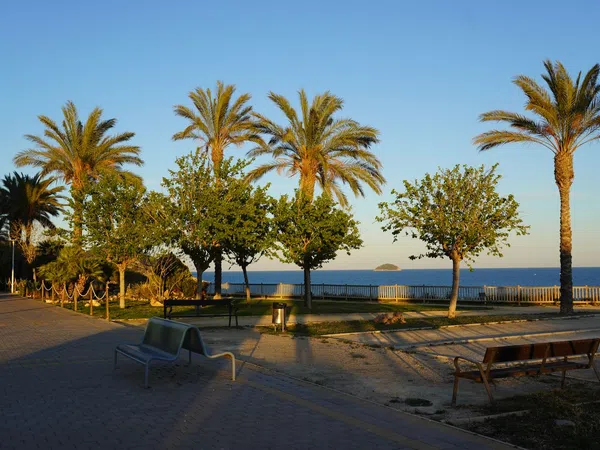 Piso en avenida Tellerola, 1 - Foto 32