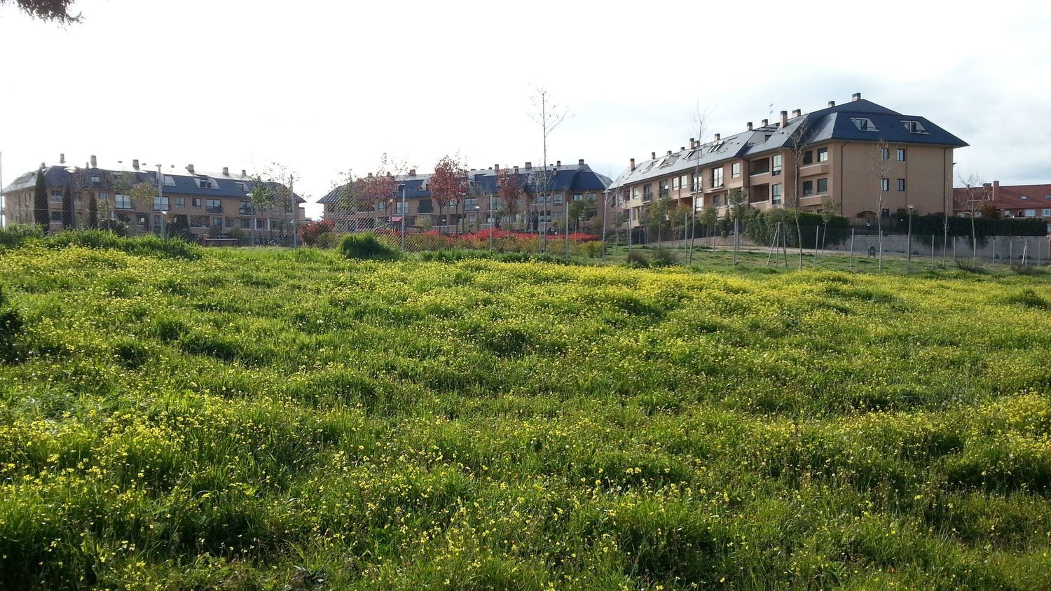 Dúplex en Calle Peñalara, 4, Zona norte - Foto 2