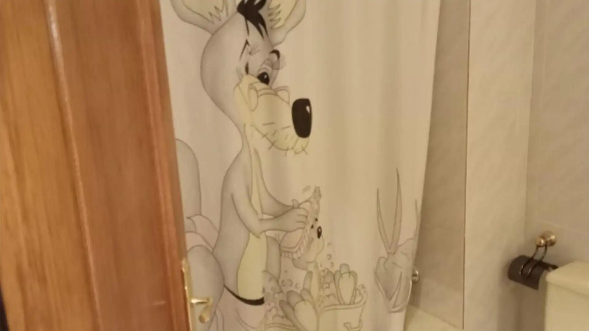 Piso en L'Hospitalet de Llobregat - Foto 17