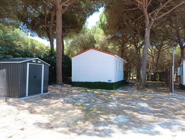 Casa o chalet independiente en Calle Obispo, 4, Cuatro Pinos-El Carmen - Foto 5