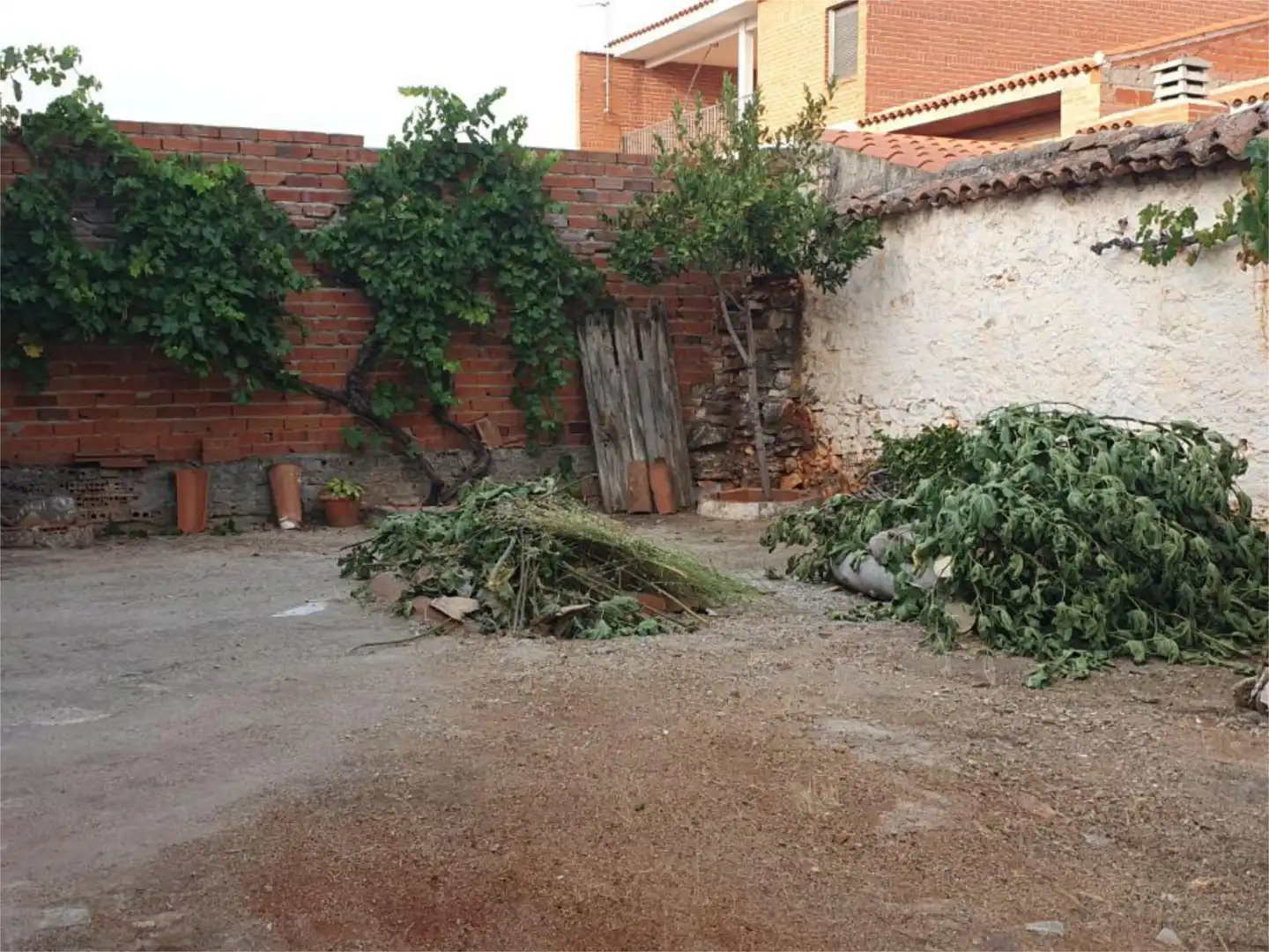 Casa adosada en  Calle el Greco 2 - Foto 10