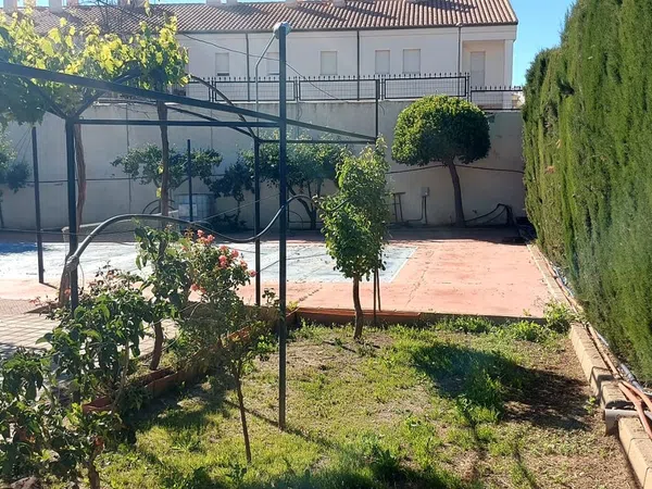 Casa o chalet independiente en Calle Obispo Rincón, 43 - Foto 5