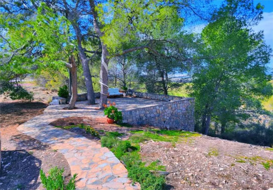 Chalet en ALICANTE MURCIA ALBACETE VALENCIA - Foto 1