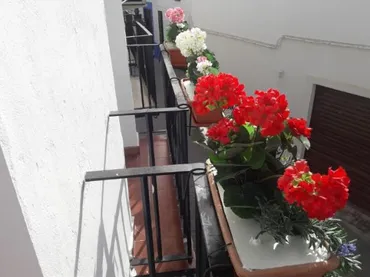Piso en  Calle San Basilio 19 - Foto 4