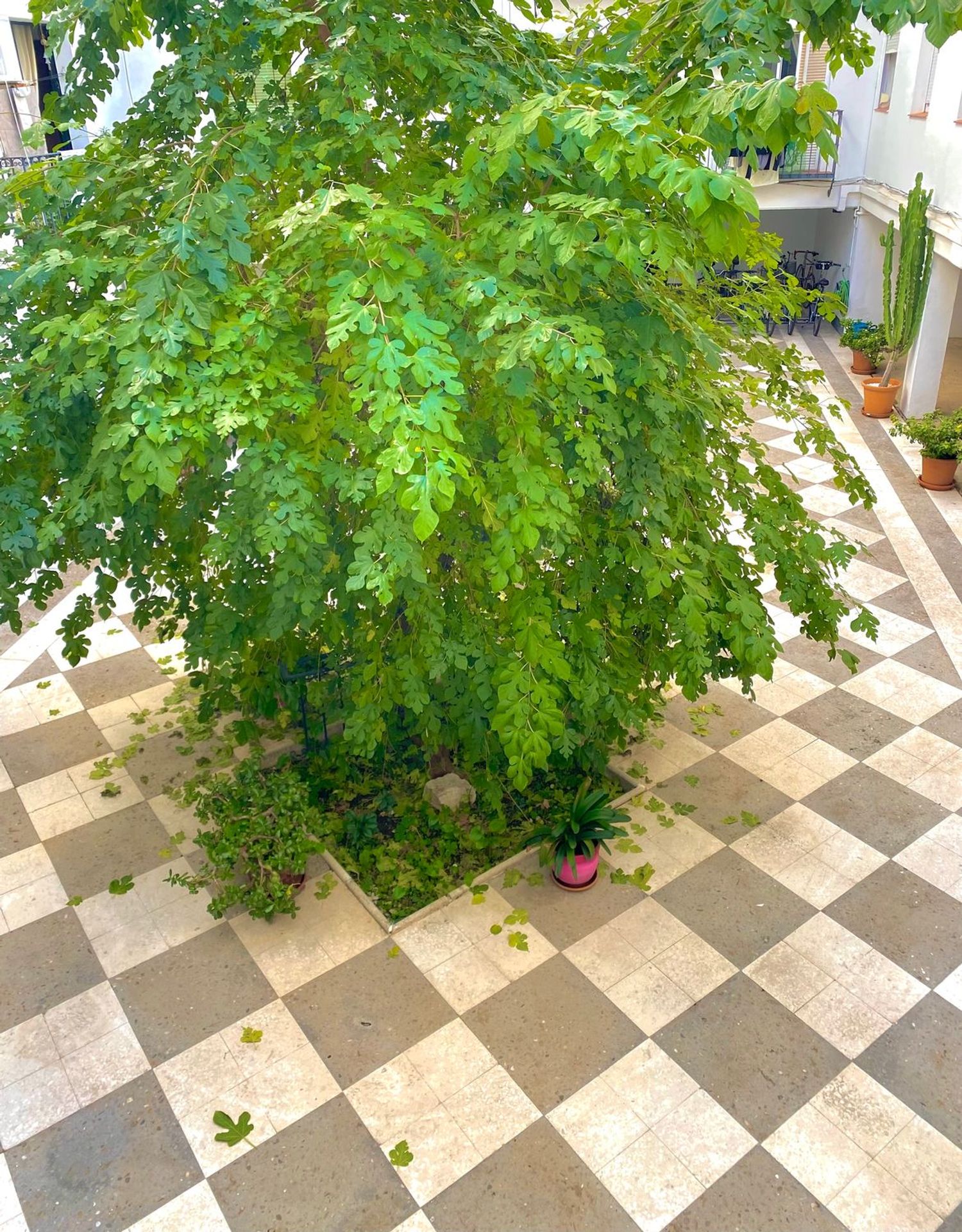 Piso en Santa Lucía, 21 - Foto 11