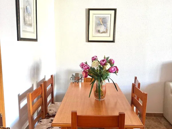 Piso en Calle Migjorn, 5, Alitana - Casablanca - Foto 16