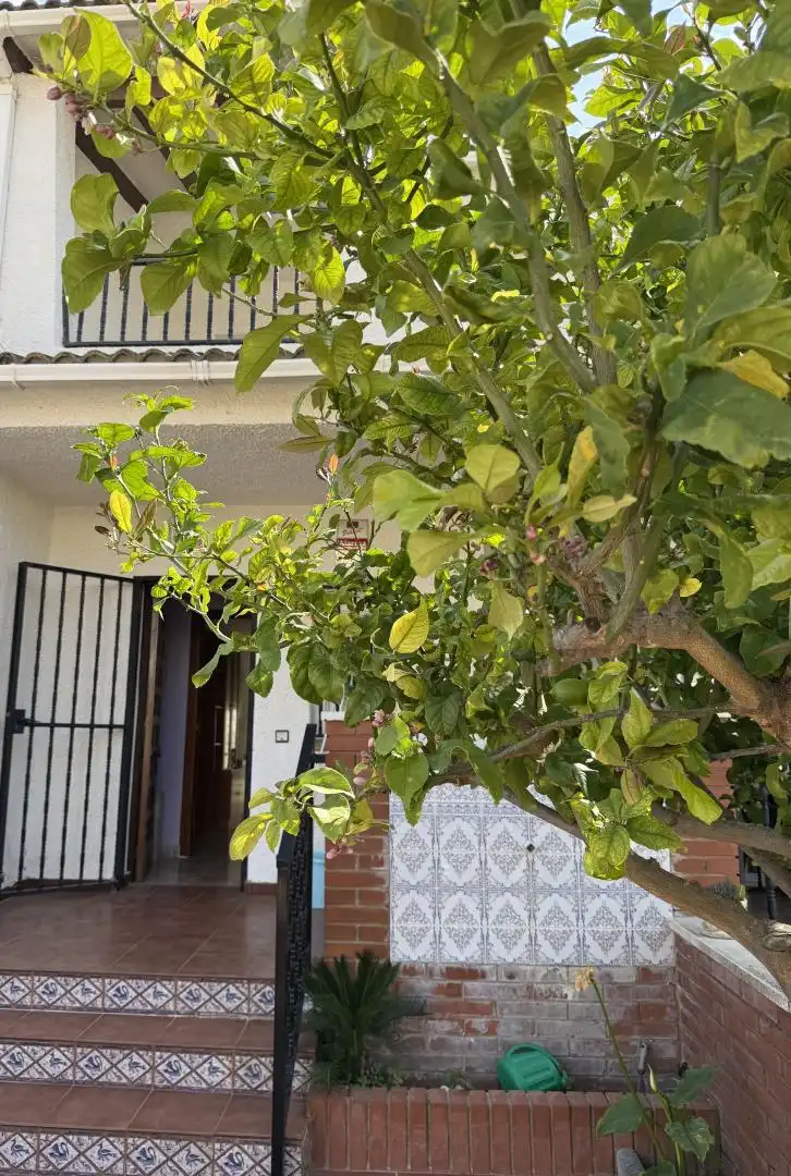 Chalet en  Carrer de les Basses 40 - Foto 8