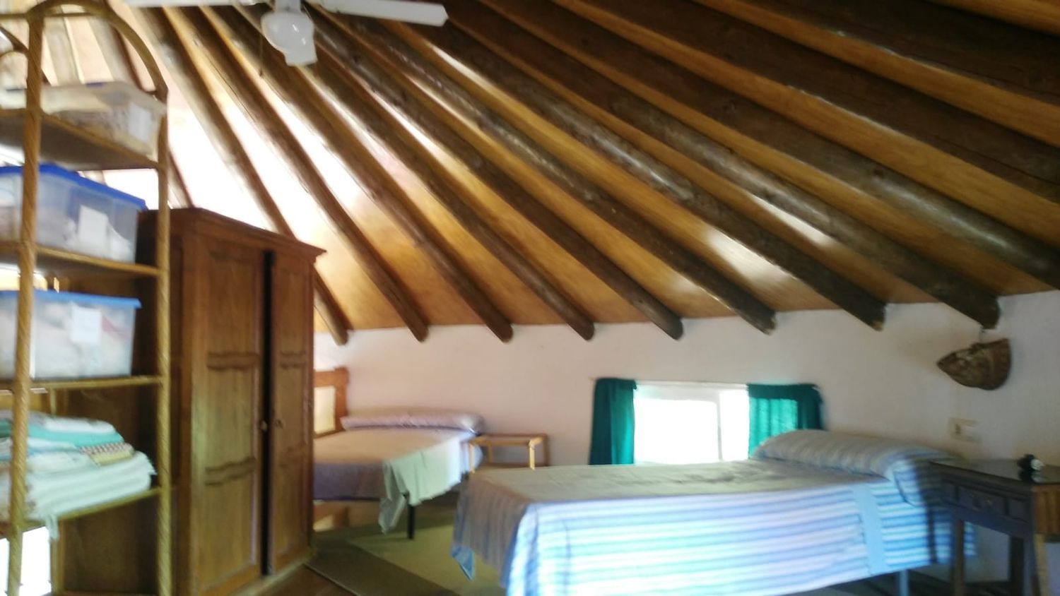 Casa o chalet independiente en Calle Pomelo, 5, Zahora, Zahora - Foto 7