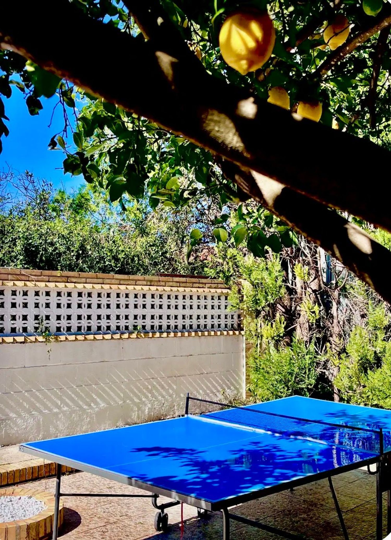 Casa o chalet independiente en Camino de alcarraites s/n - Foto 20