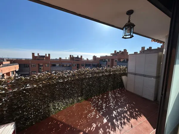 Piso en calle de Palestina, 17 - Foto 7