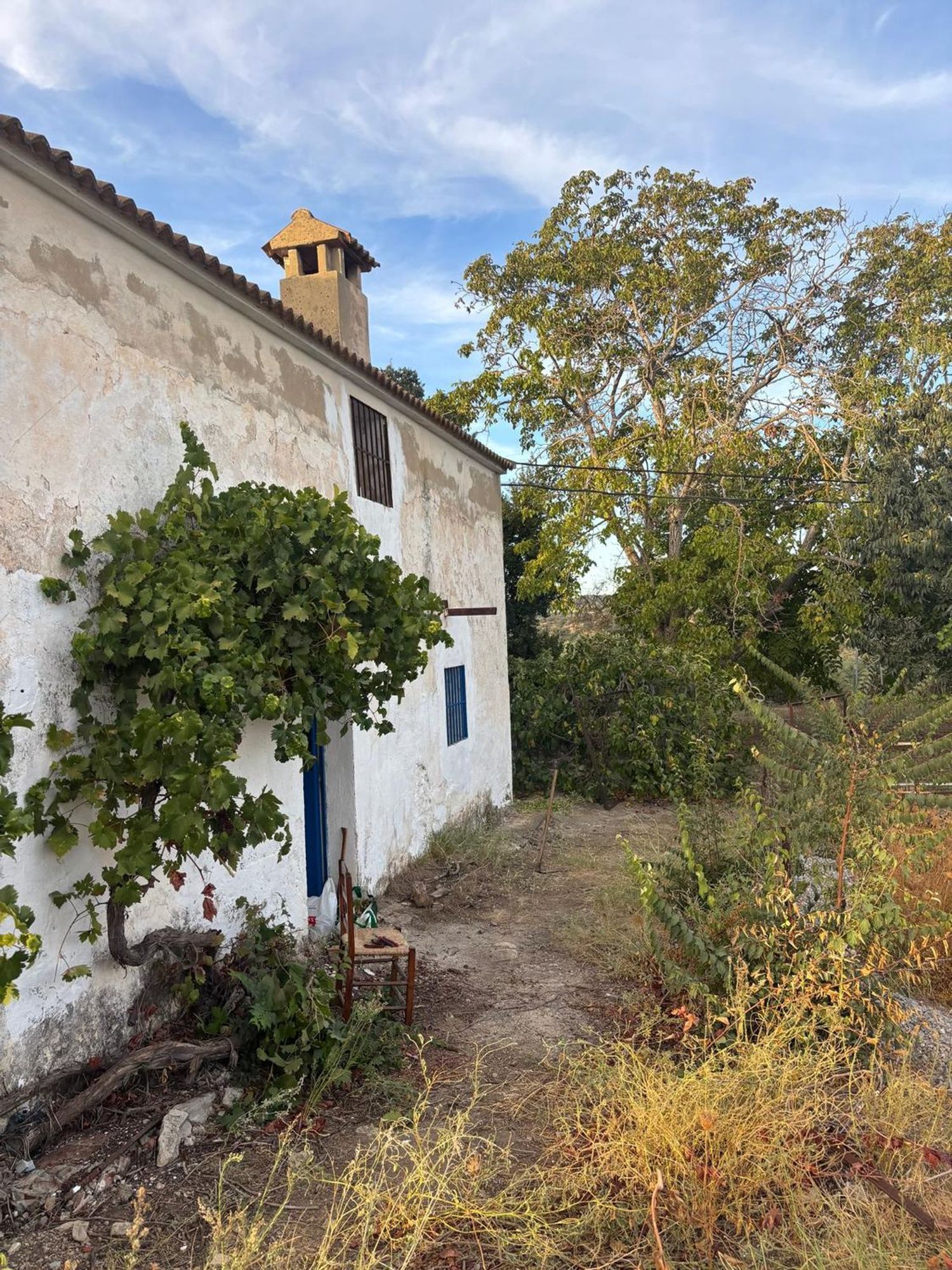 Finca rústica en Camino de Setenil a Alcalá del Valle s/n - Foto 2
