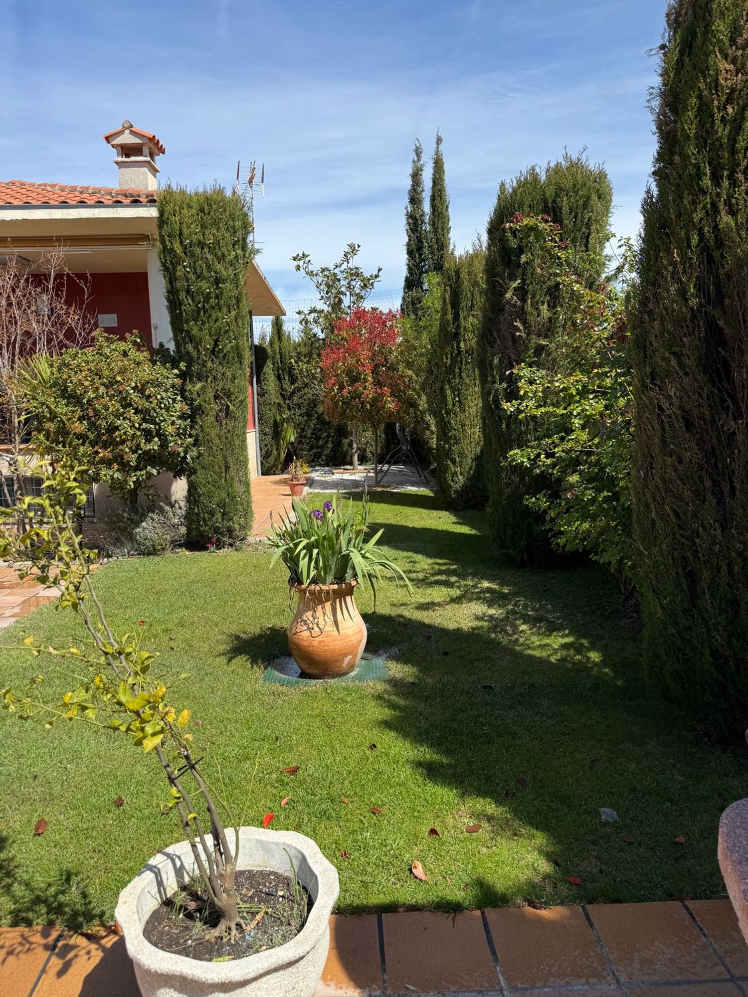 Casa o chalet independiente en Calle del Molino, 2 - Foto 36