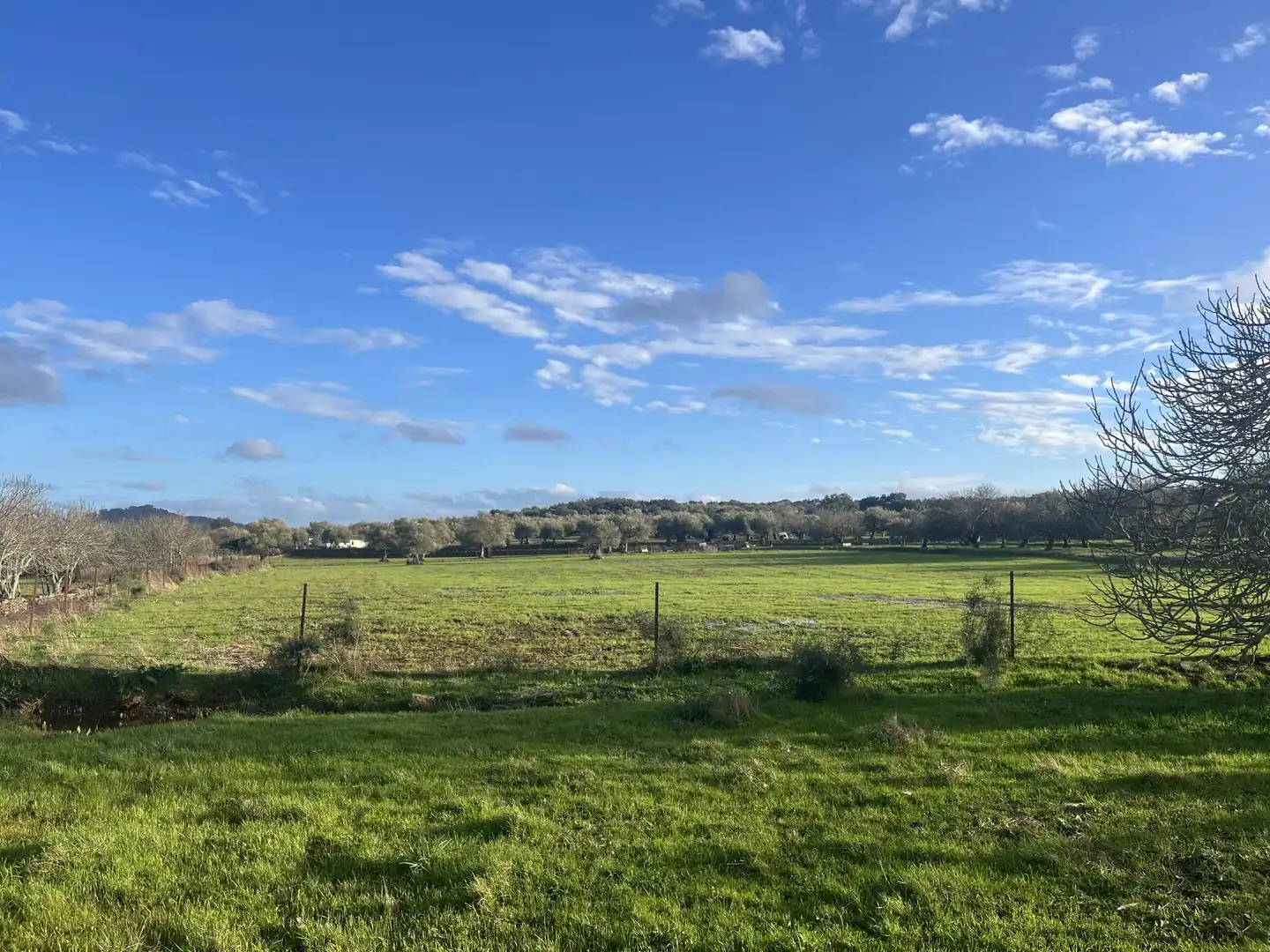 Finca rústica en  Calle Iglesia 6 - Foto 9