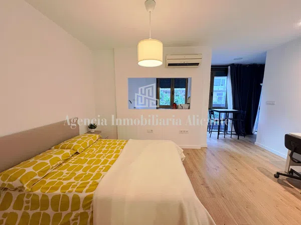 Estudio en Calle Tomás López Torregrosa - Foto 1