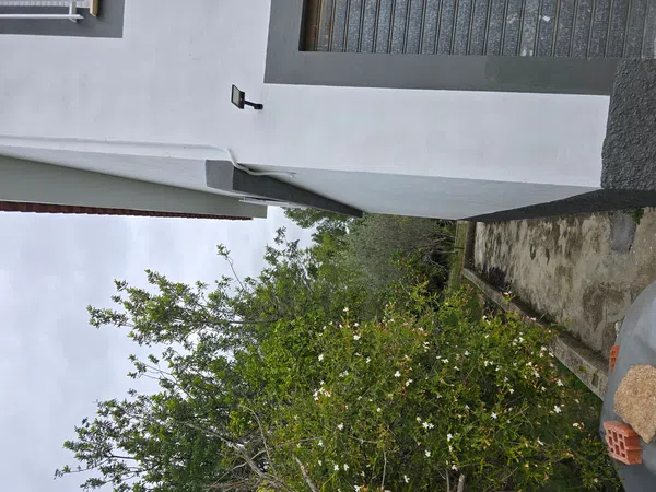 Casa independiente en Petunias, 19 - Foto 15