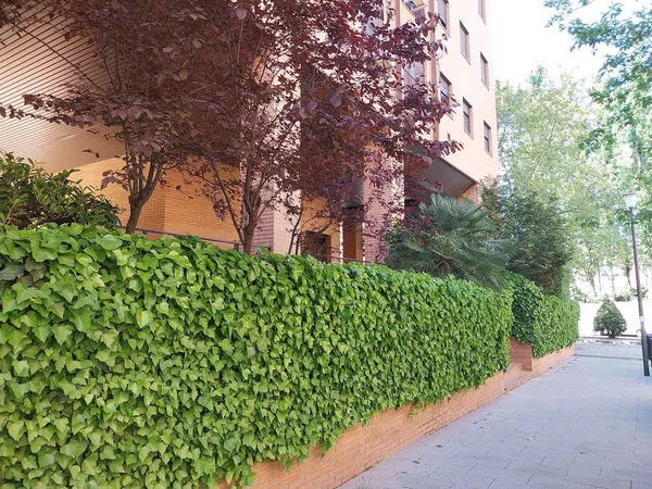 Piso en calle de la Escarcha, 5 - Foto 15