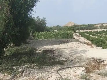 Finca rústica en  Autovía de Murcia 582 - Foto 7