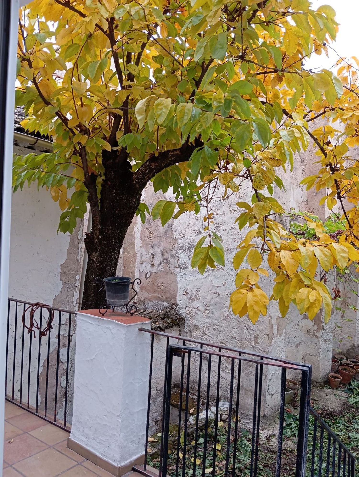 Casa de pueblo en Calle Mariano Foronda, 20 - Foto 11