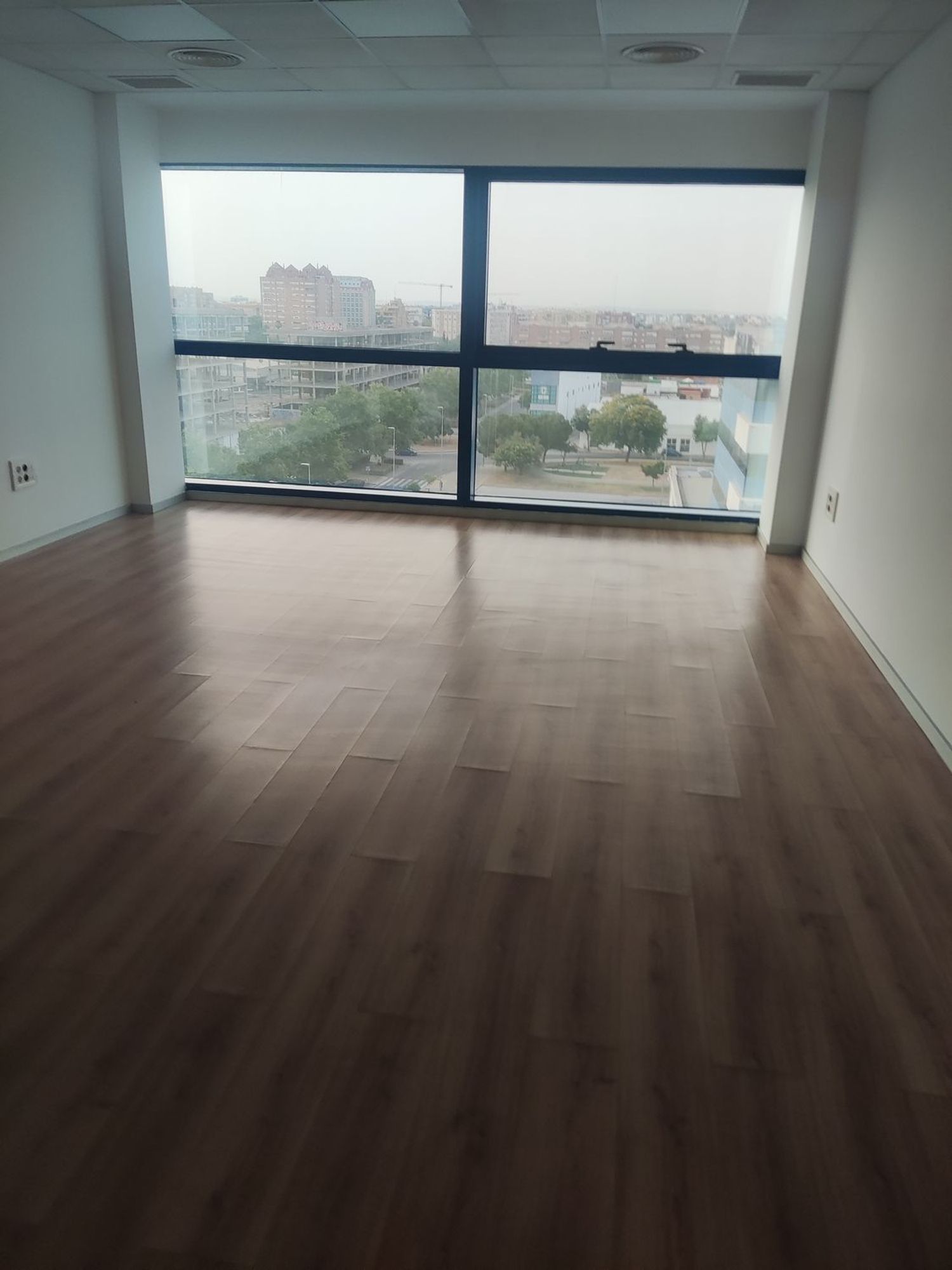 Oficina en Via Apia, 7, Palmete-Padre Pío-Hacienda San Antonio - Foto 13