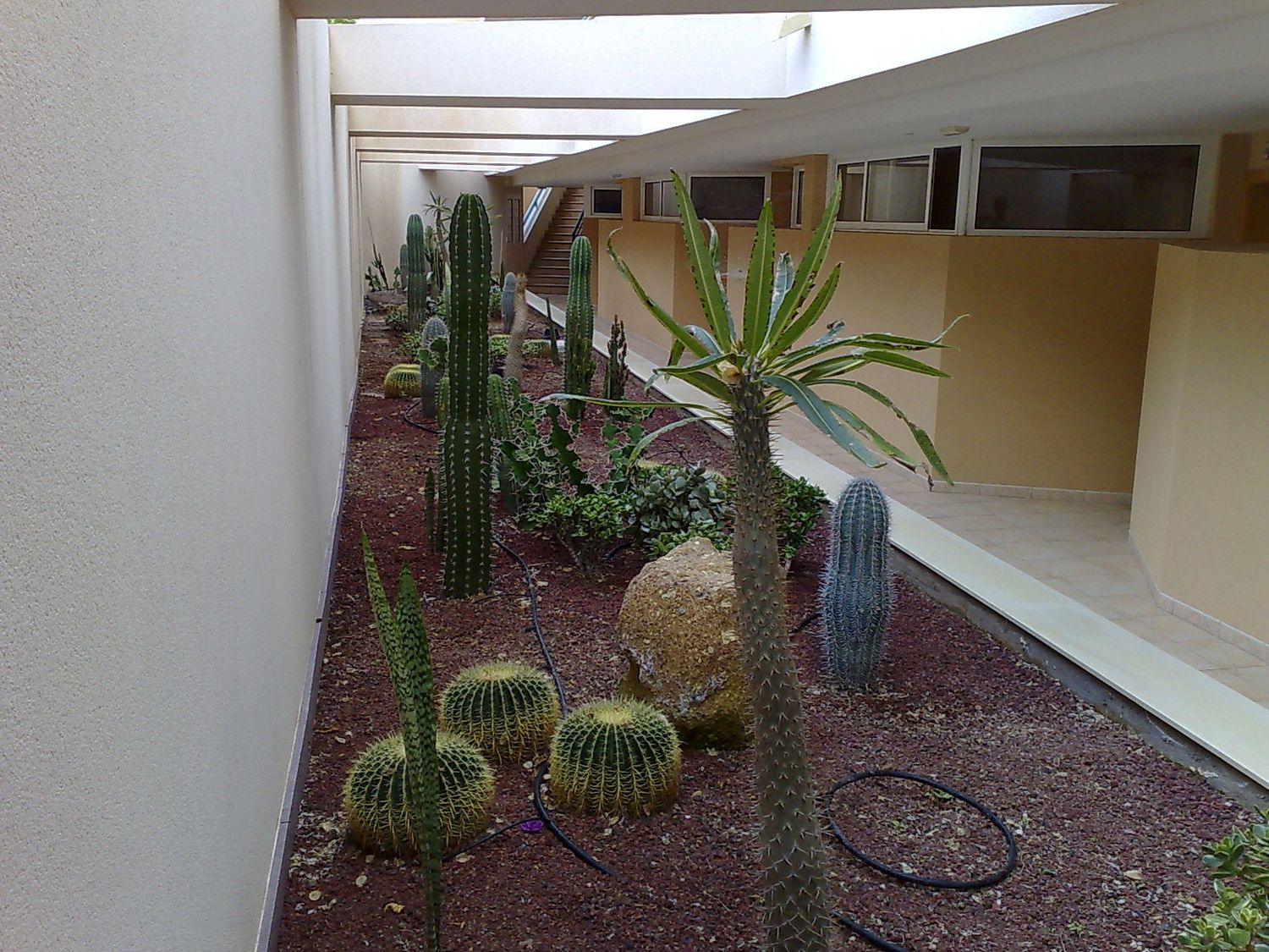 Piso en calle de La GracÍosa, 142 - Foto 7